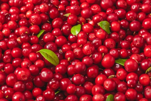 Natural Cranberry nexira