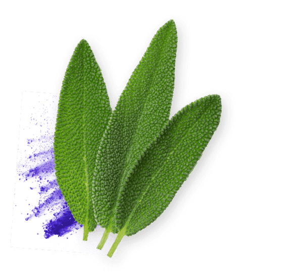 cognivia ingredient