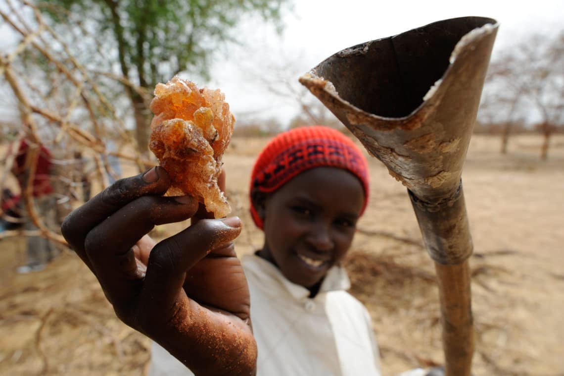 Acacia gum SOS SAHEL