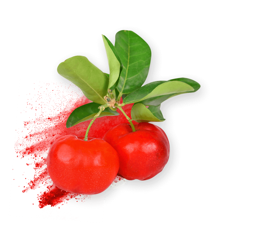 acerola ingredient