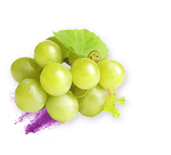 grape