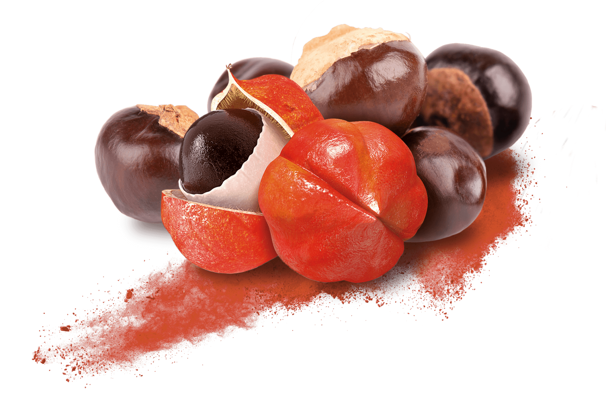 guarana-2022-2048x1404.png