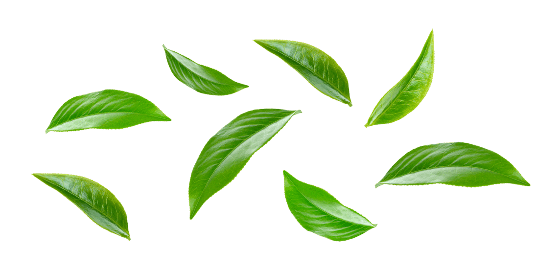 botanical extracts
