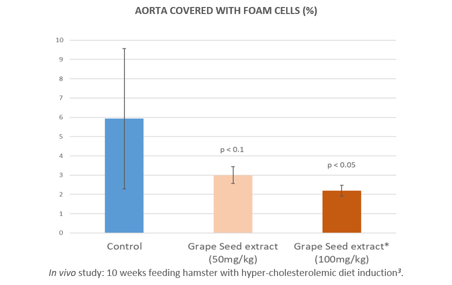 Aorta covered with foam cells (%)