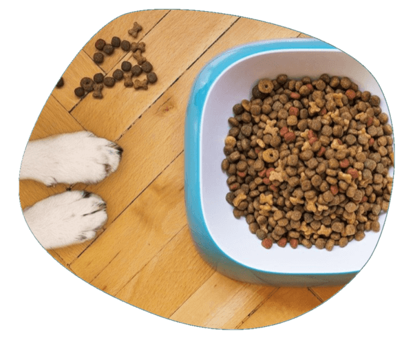 pet food
