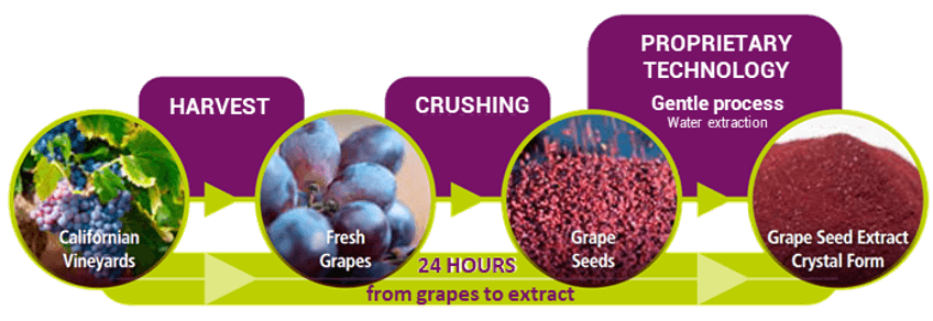 GrapeSeed Extract process