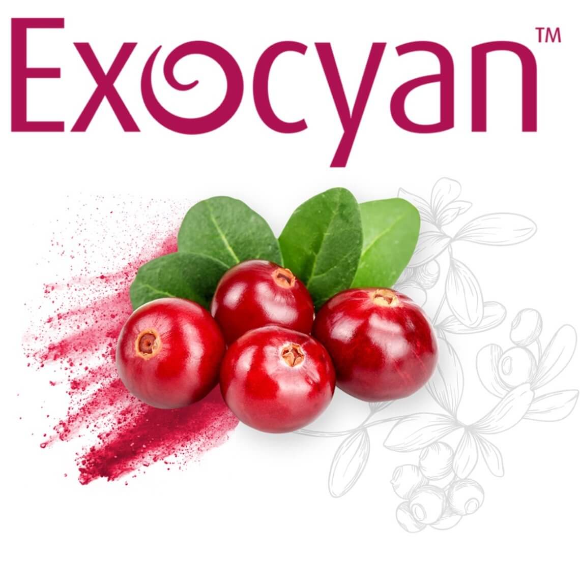 exocyan