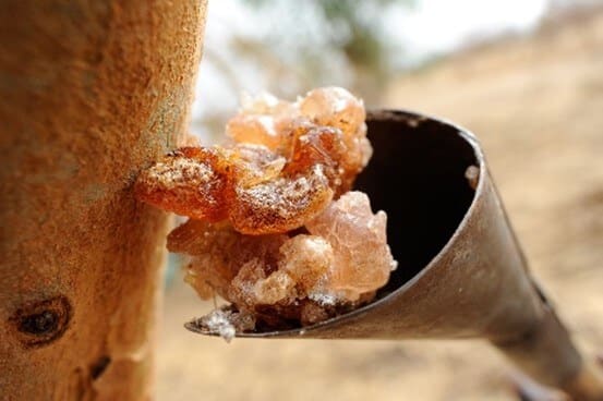 Gum arabic – the natural emulsifier, stabilizer, and mouthfeel enhancer