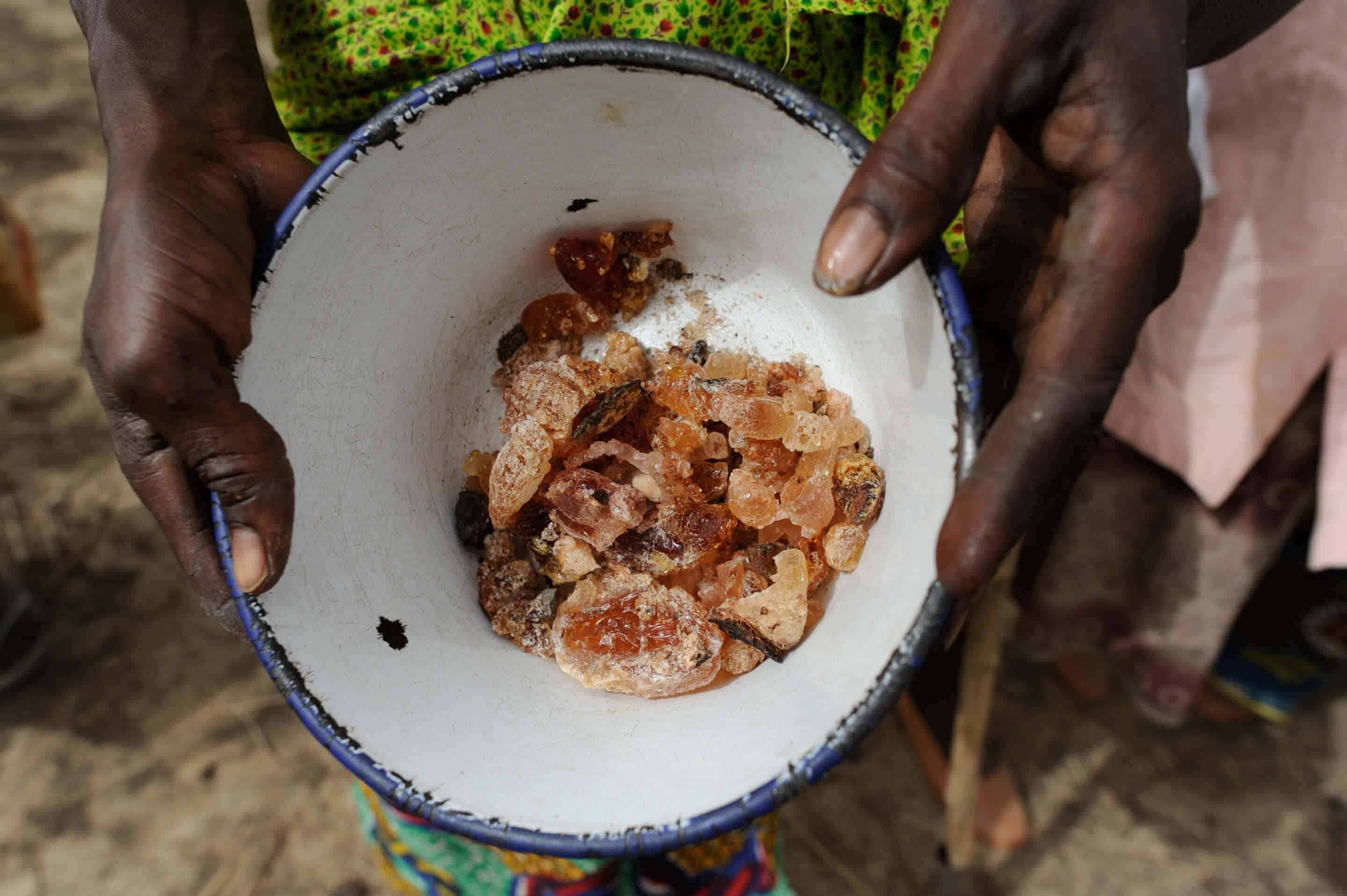 acacia gum for food applications