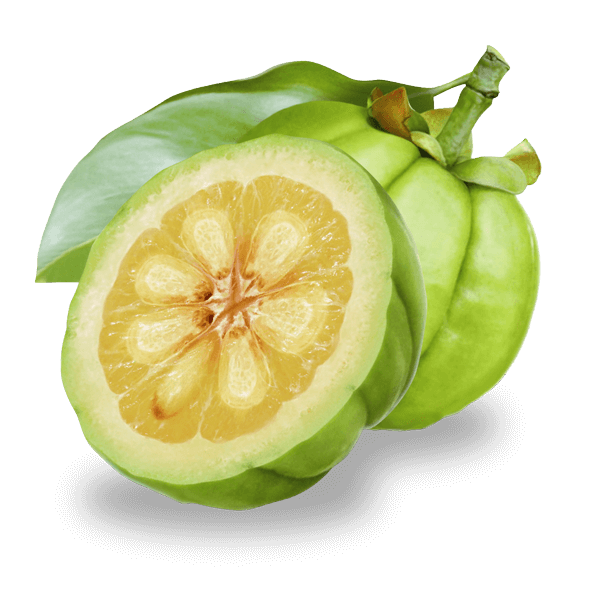 garcinia cambogia