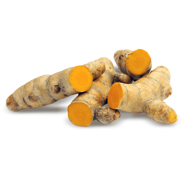 Turmeric(1Curcuma)