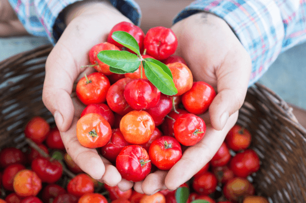 acerola