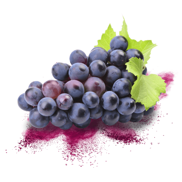 Vinogrape PLUS