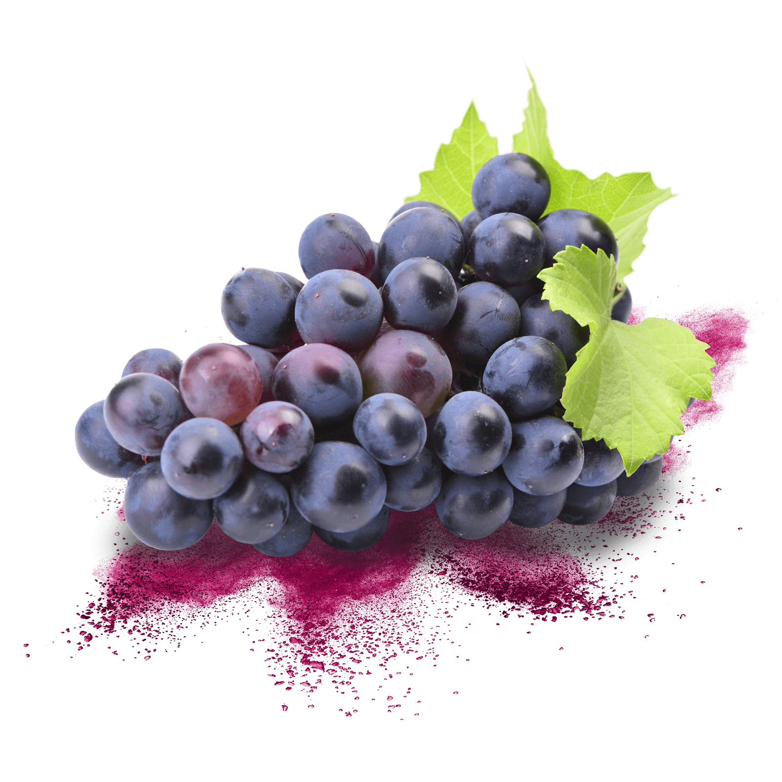 Vinogrape PLUS