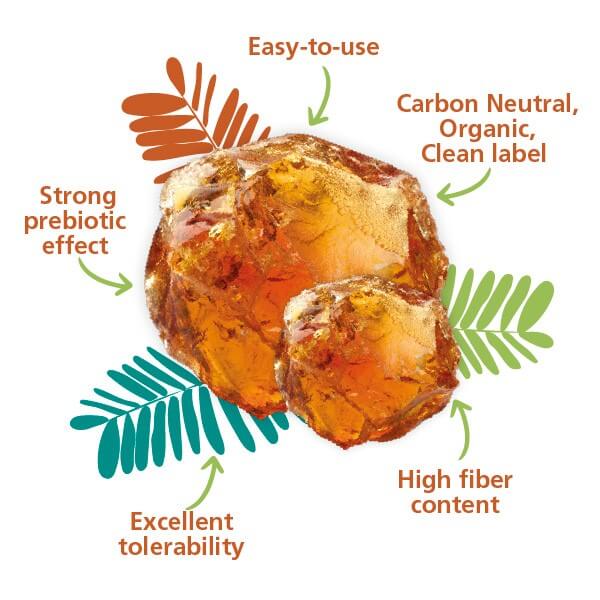 The benefits of acacia gum in gut health