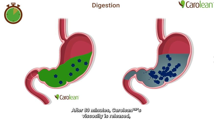 satiety