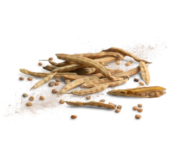 Introduction to guar gum