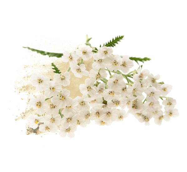 bloomease