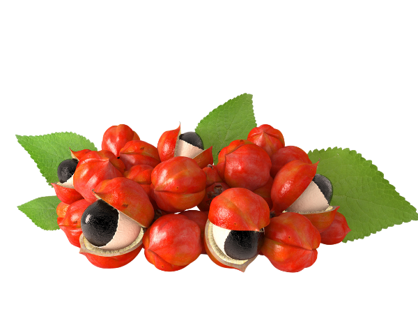 Guarana