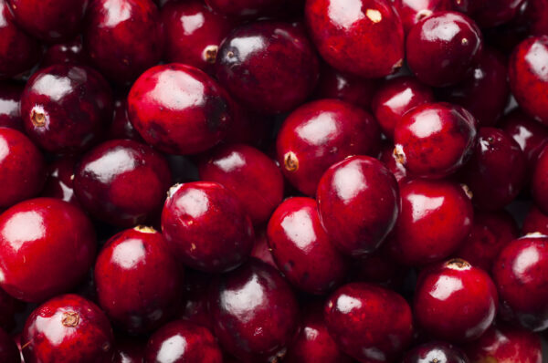 cranberry