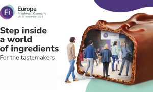 fi europe
