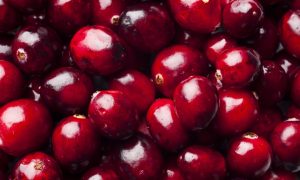 cranberry