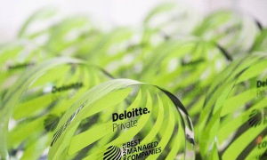 Photo des trophées Deloitte pour la labelisation Best Managed Companies